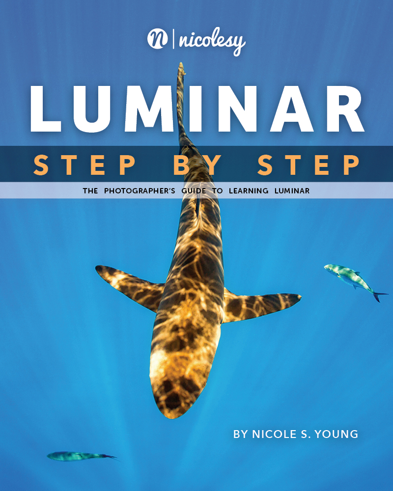 Luminar: Step by Step