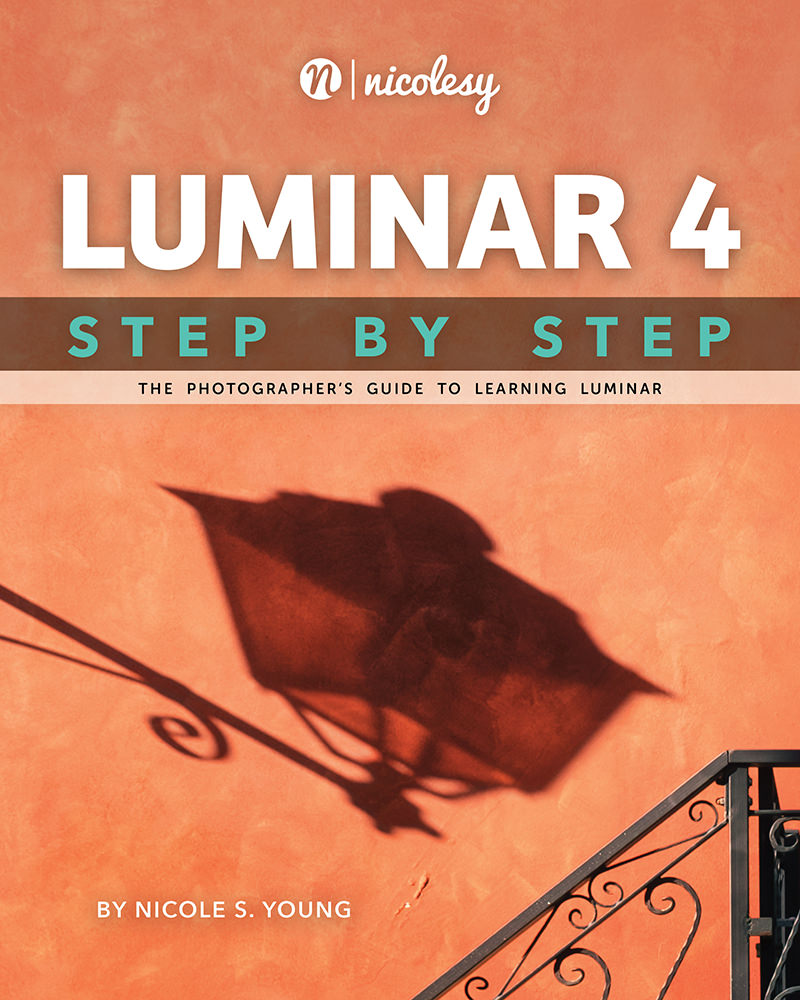 Luminar: Step by Step