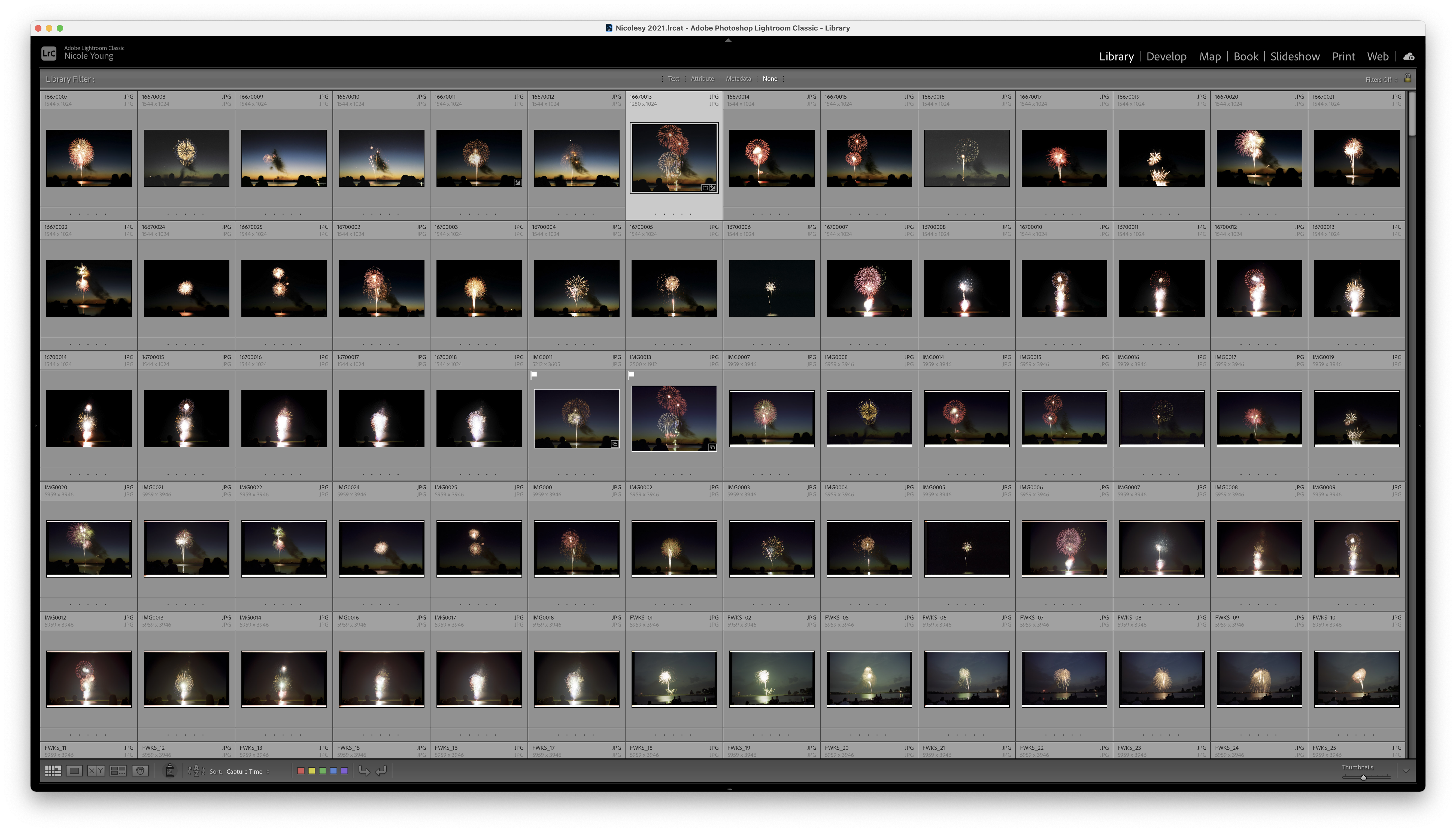 Excire Foto Lightroom search results