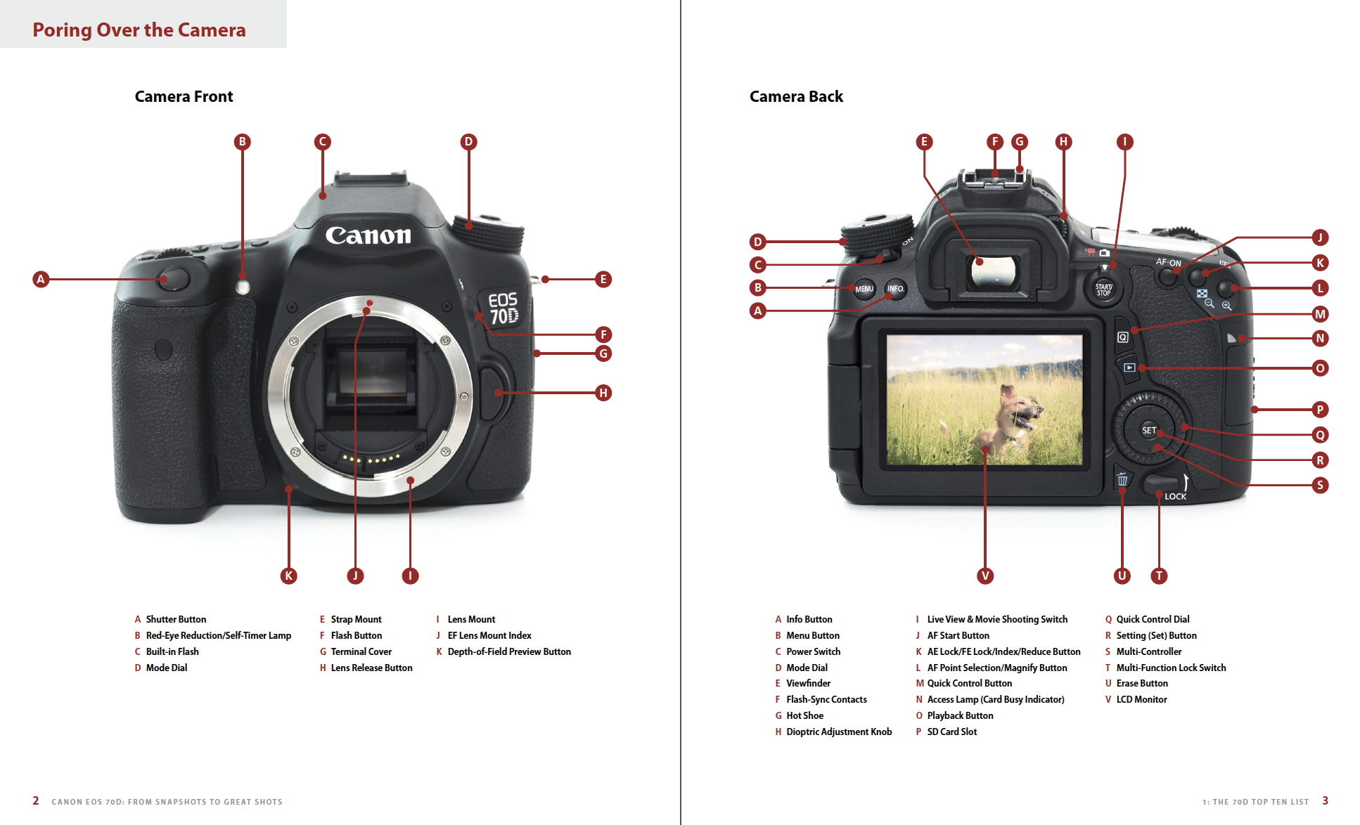 Missend Gevaar Raadplegen Canon EOS 70D: From Snapshots to Great Shots — Nicolesy