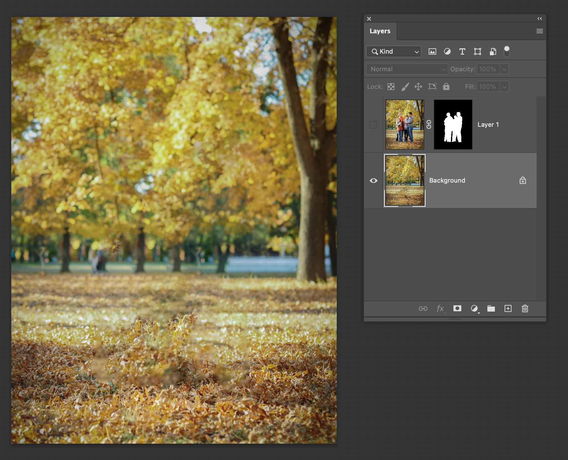 How to blur the background in Photoshop — Nicolesy